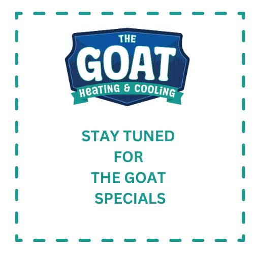 The Goat Upcoming Specials